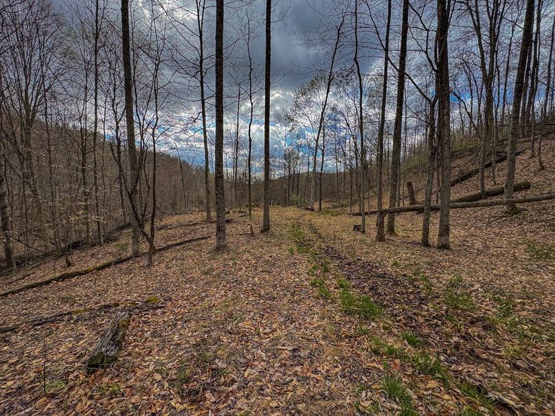 Wirt, WV 156.941 AC Full-12