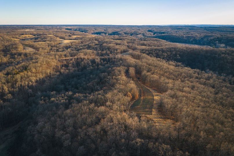 DJI_20260218164732_0650_D