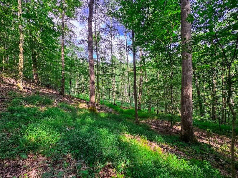 Lewis, WV 105 AC Miller-54