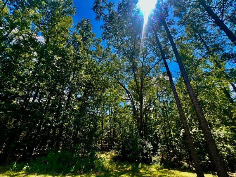 4C4A39B5-9818-432A-99D8-85DA6C87978A_1_201_a