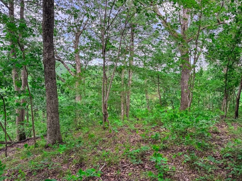 Wirt, WV 137.45 AC Full-25