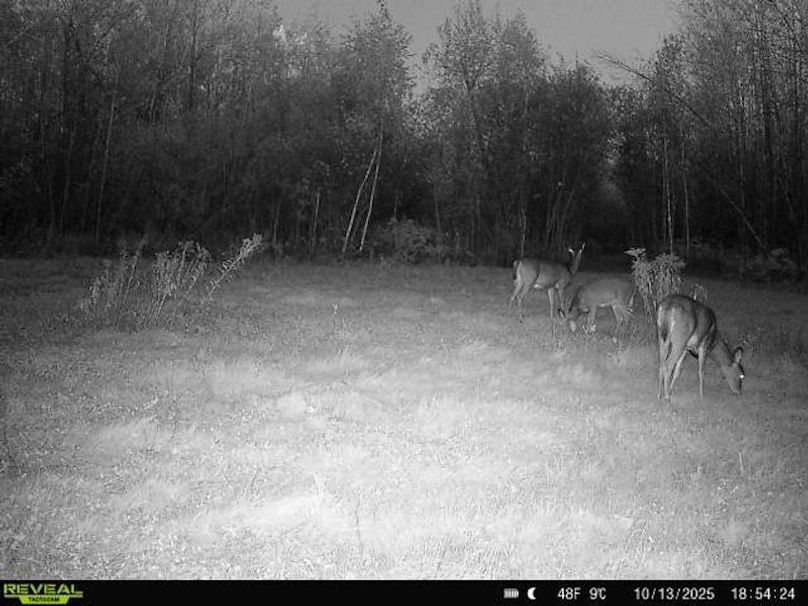 864049056287651-100-3-10132025185424-W1000311