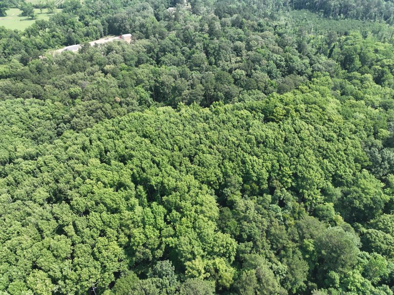 dji_fly_20230530_111606_143_1685483327719_photo