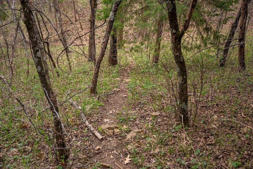 WabaunseeKansas887.39-204