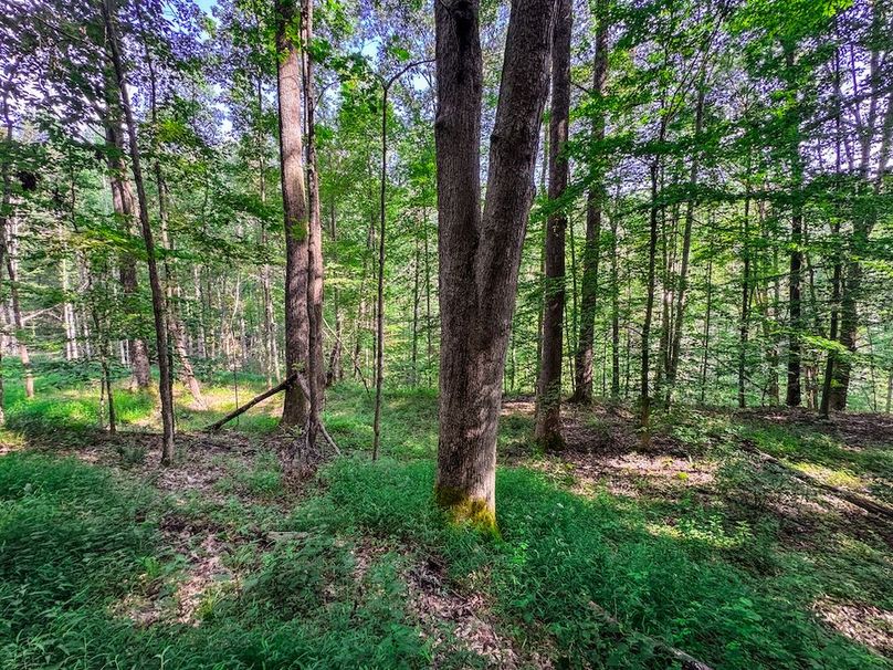 Lewis, WV 105 AC Miller-55