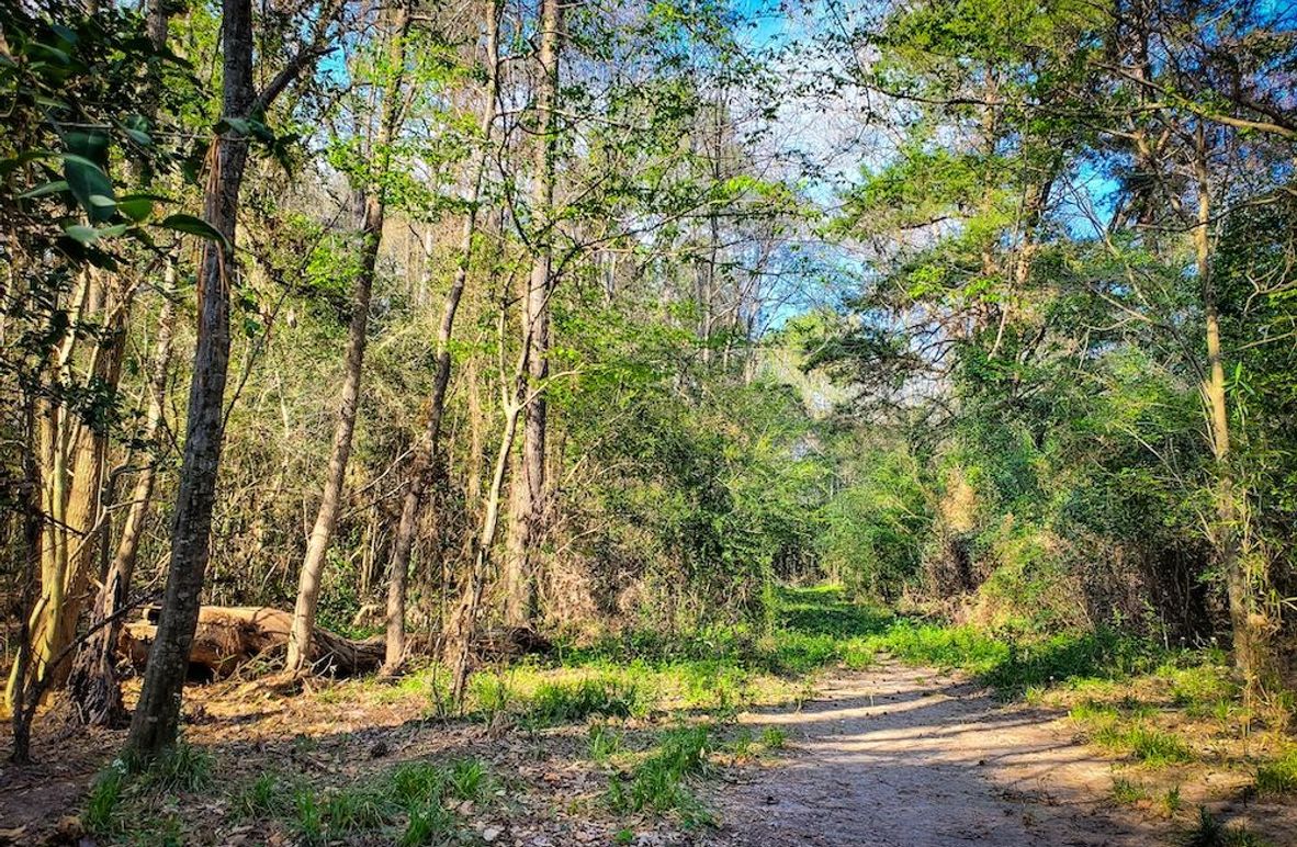 Copy of 20240301_155142