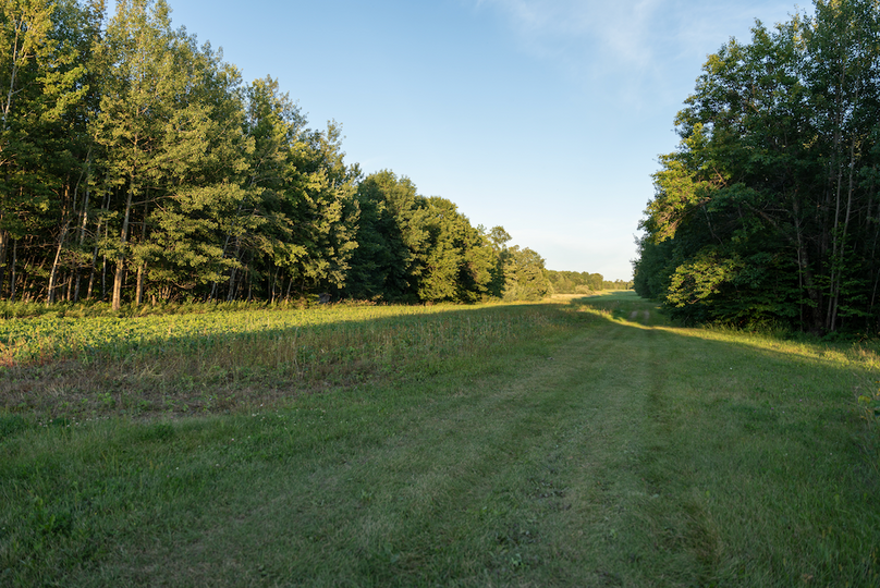 Cass MN 1095 Featured ProPhoto-45