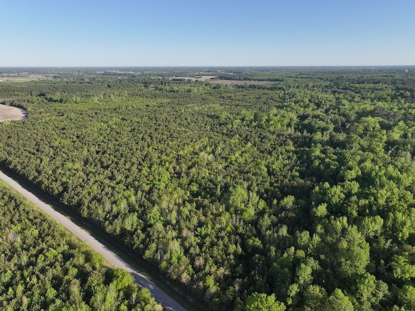 DJI_20250417073003_0008_D
