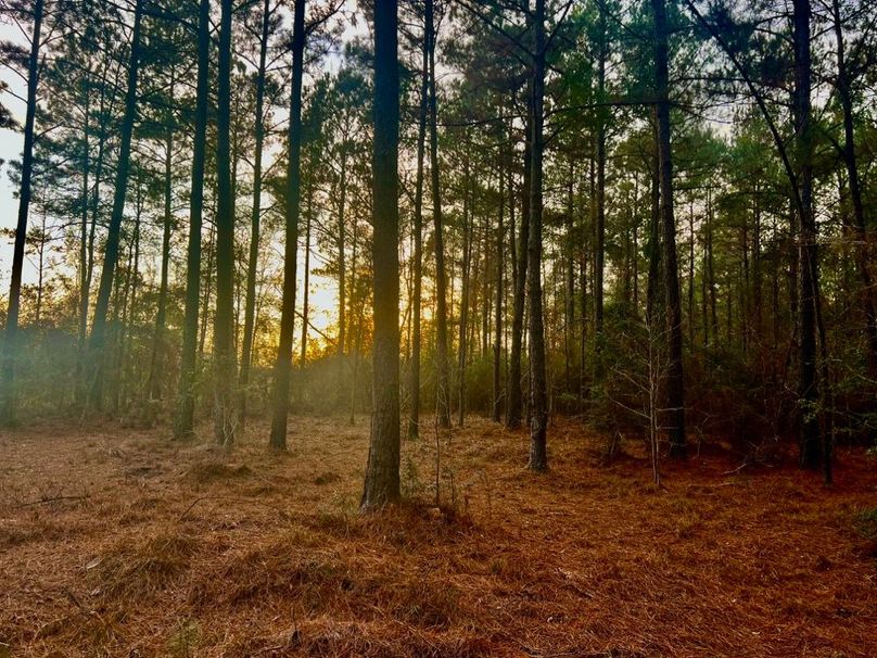 938DCA5B-85B6-4223-AD10-3BD7B4C3E09B_1_201_a