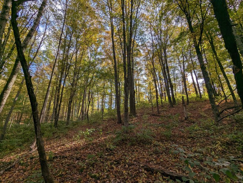 PXL_20231004_191352106