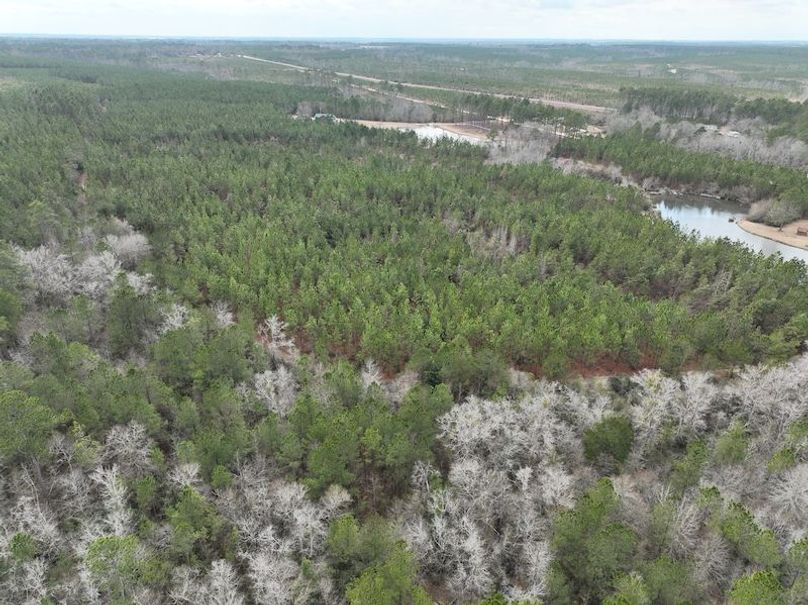 dji_fly_20260211_133218_312_1770835094254_photo