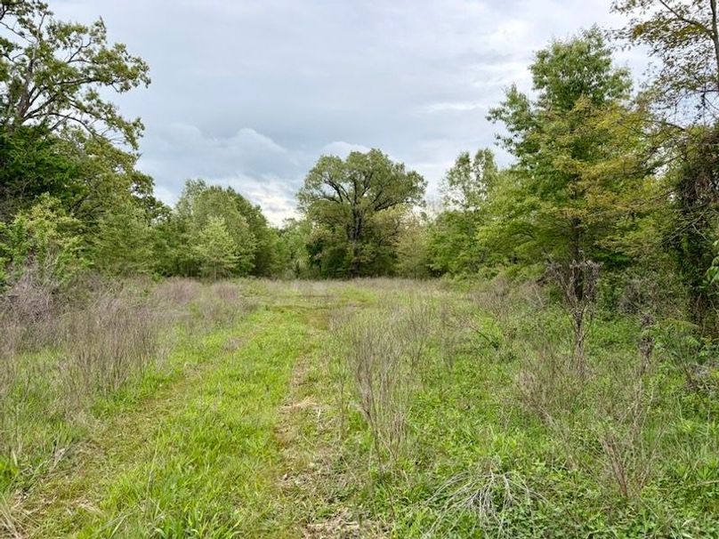 6BA9BE6B-D299-4969-987D-AAE35EDF6BFE_1_105_c