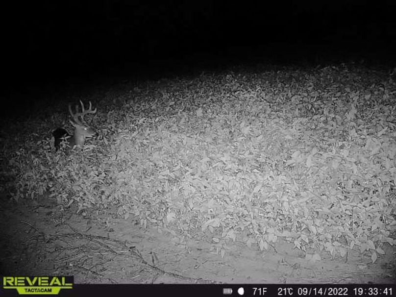 865519049947982-90-4-09142022193340-W1000886