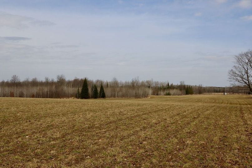 Copy of Copy of IMG_0561