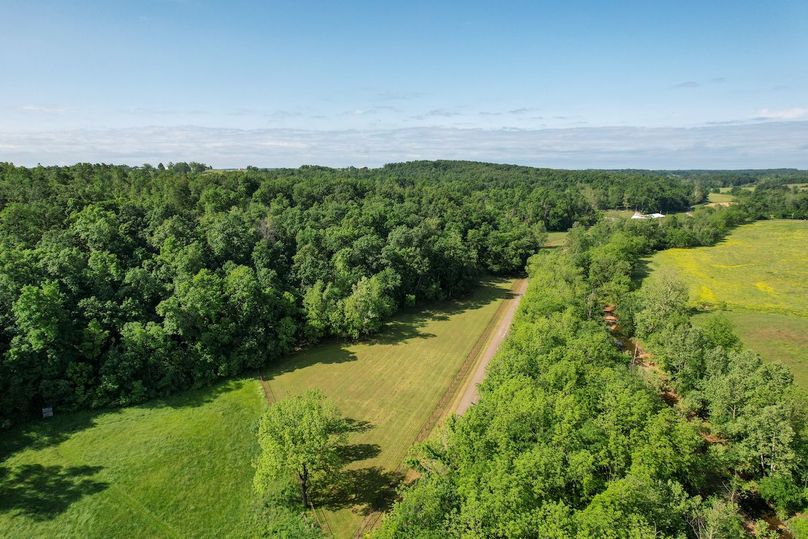 DJI_0354