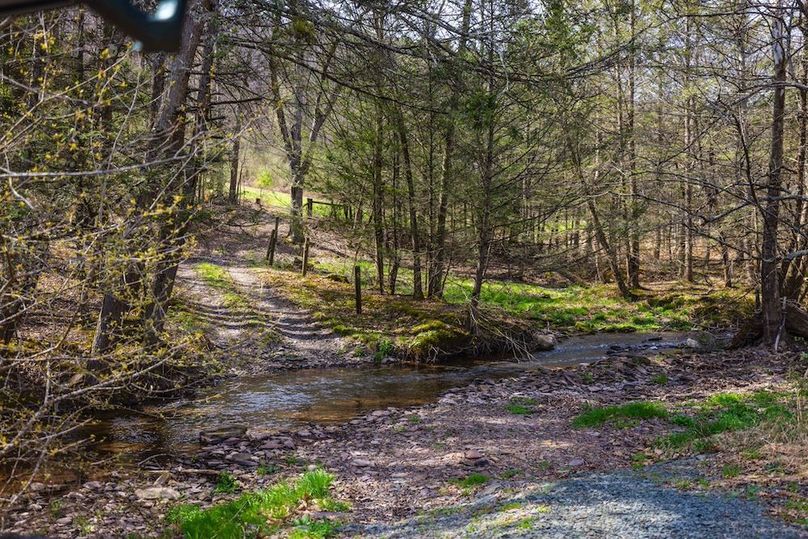 29-web-or-mls-IMG-29