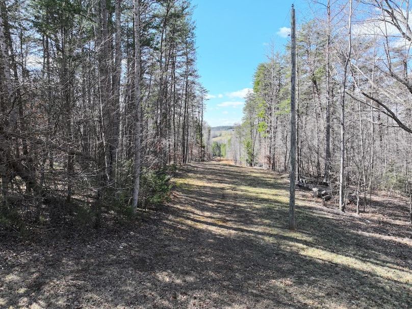 dji_fly_20260223_122228_0579_1771957543670_photo