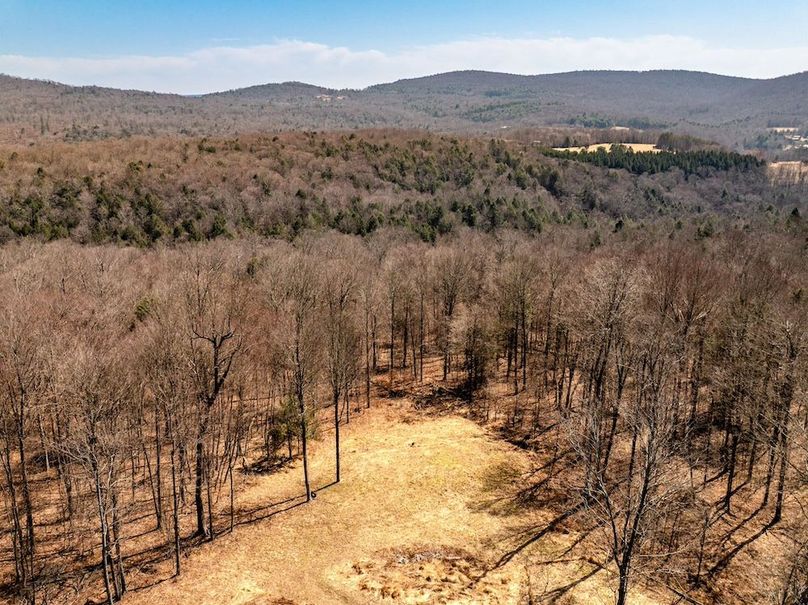 71-web-or-mls-IMG-71