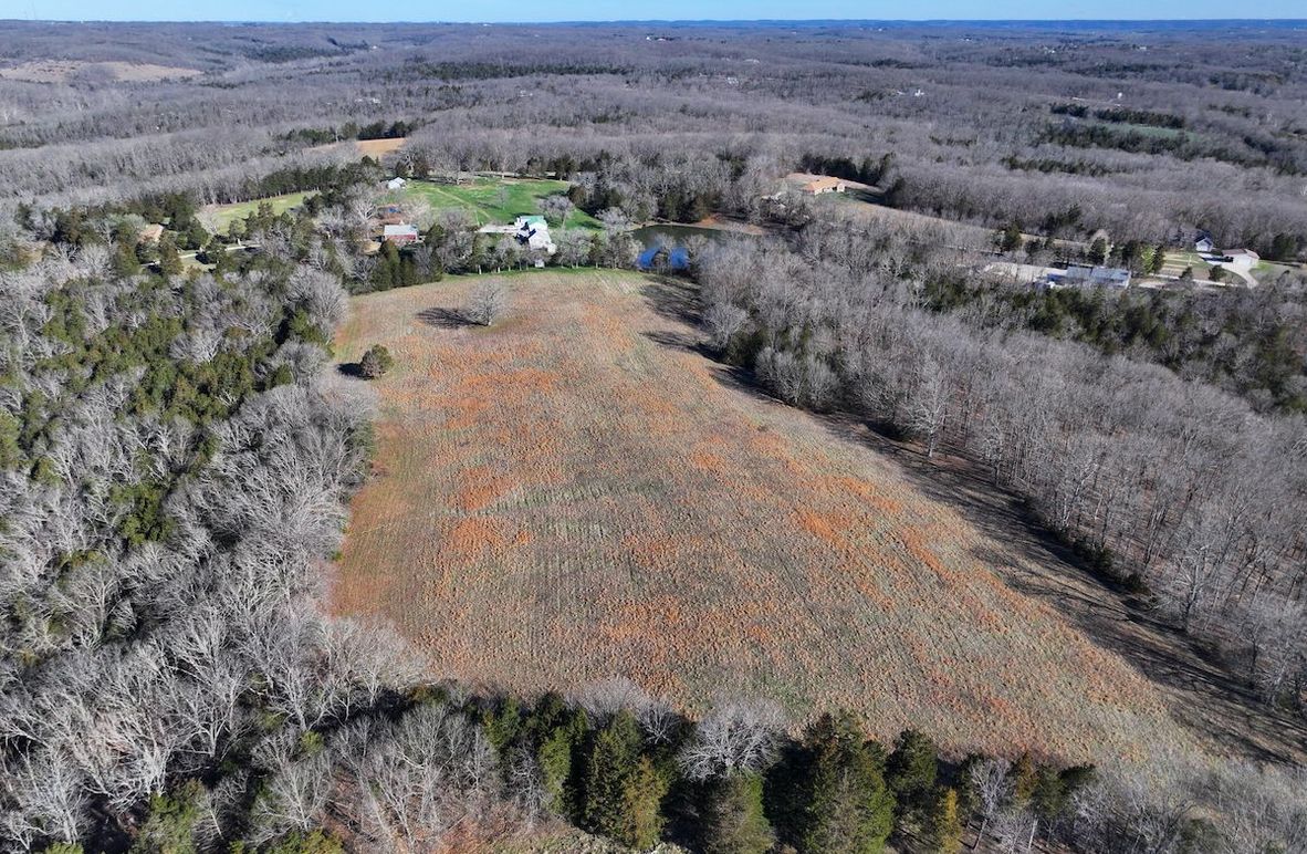 DJI_20260317093434_0977_D