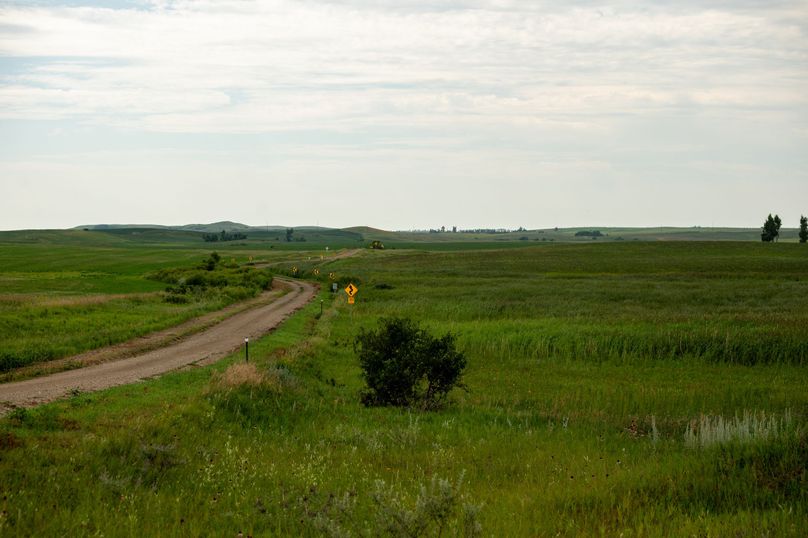 29 east roadside of southern parcel