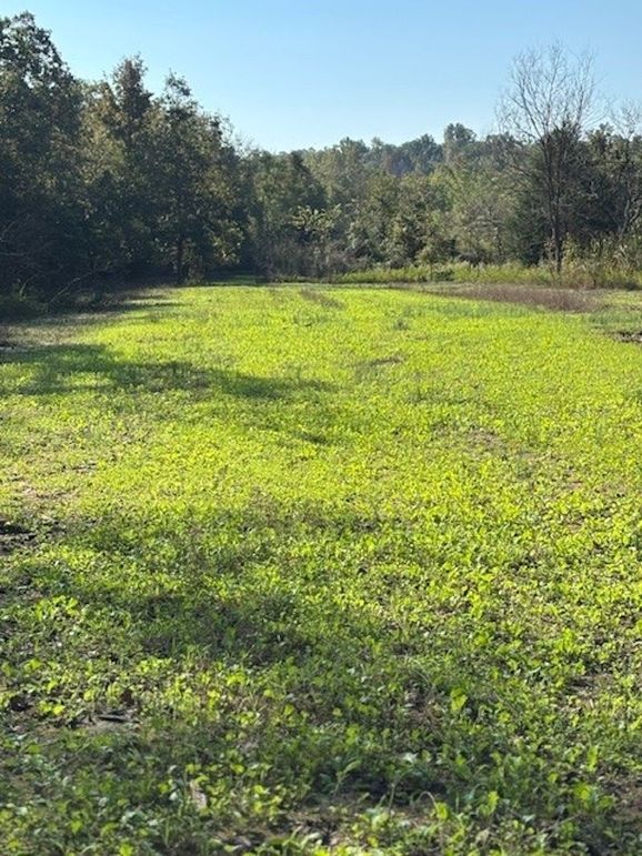 13 Wirth South 40 Upper Field Plot