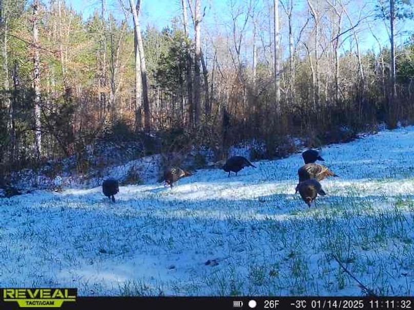 862515041535786-70-5-01142025111132-W1001105