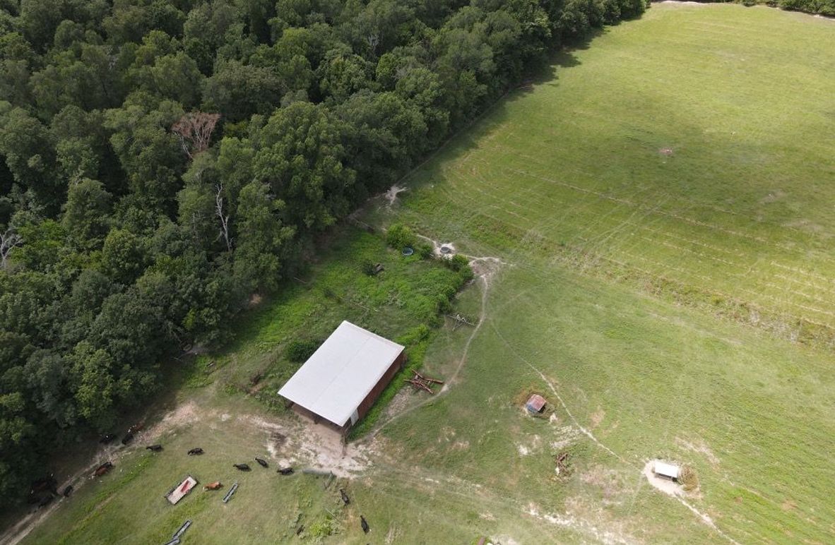 dji_fly_20250726_122248_588_1753550586379_photo