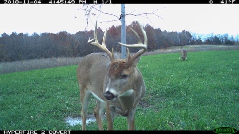 2018-11-04 16-45-49 M 1_1