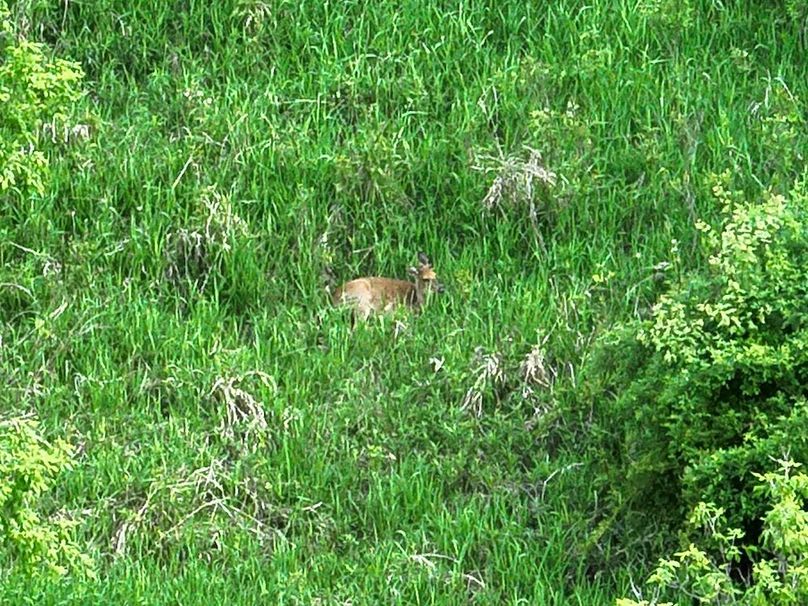 DJI_20250520064821_0022_V