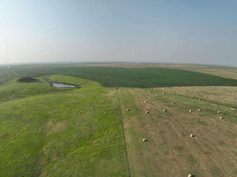 DJI_0371