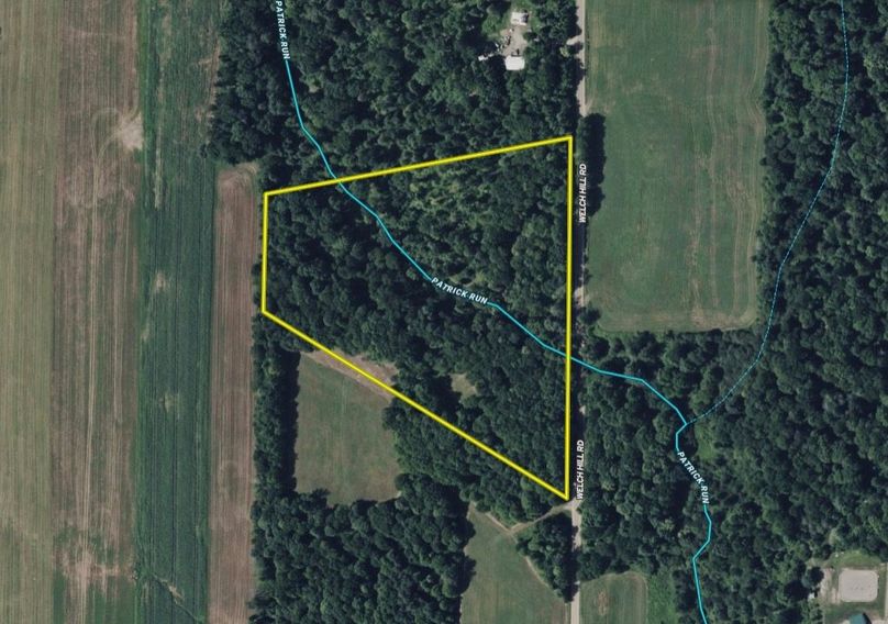 Screen Shot 2026-02-04 at 2.11.25 PM