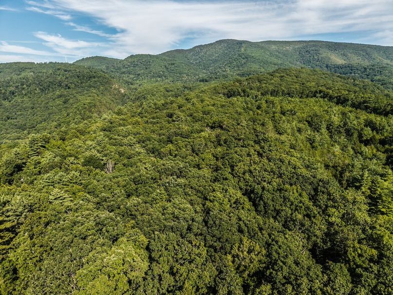 DJI_20250804172526_0003_D