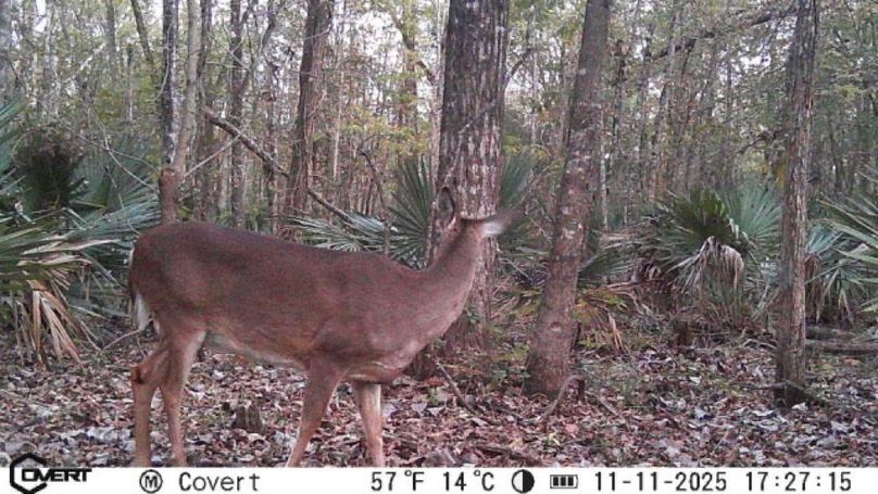 11_11_2025_17_27_15_3249102762