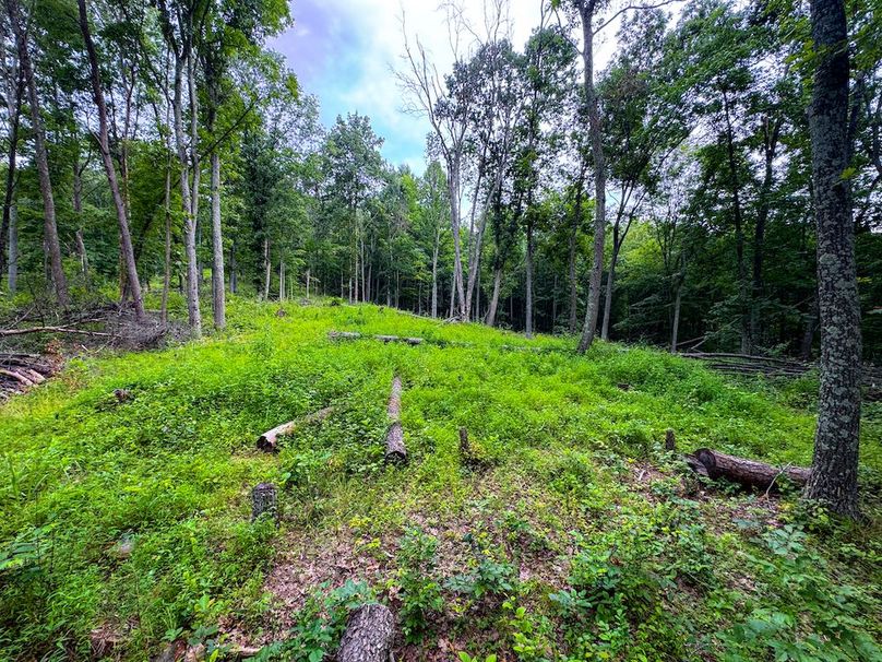 Tyler, WV 46 Lemasters -29