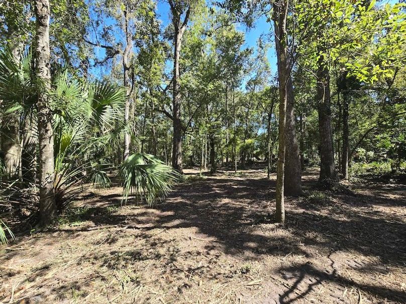 7.8ac, Citrus, Andrew Goering16