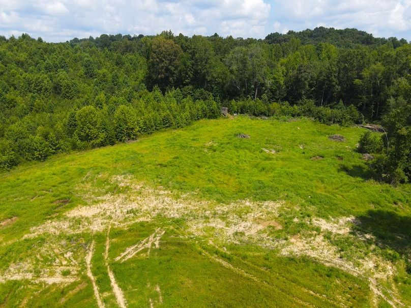 dji_fly_20250729_120100_744_1753805734647_photo