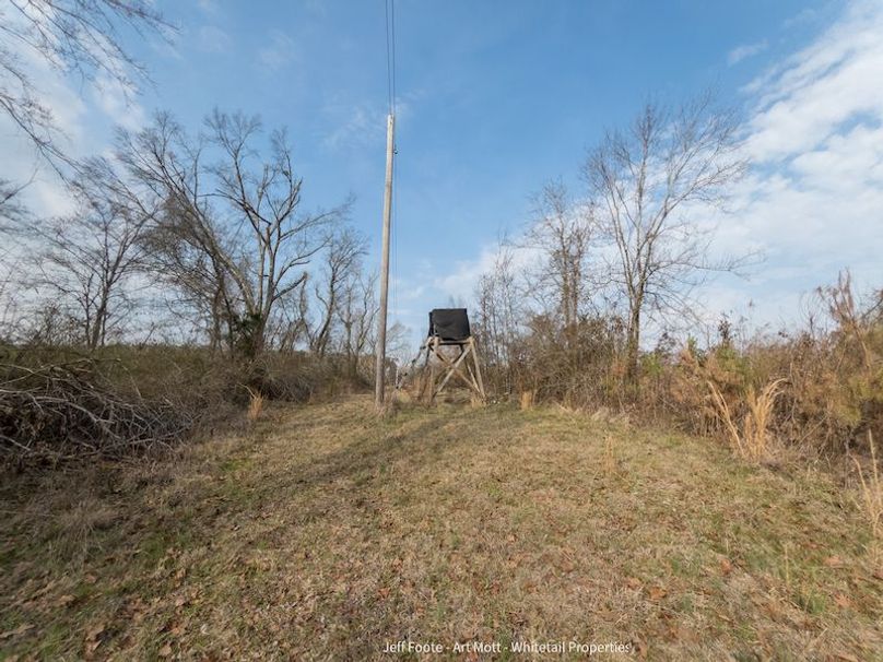 Holmes County - 108 - Rodriguez-56