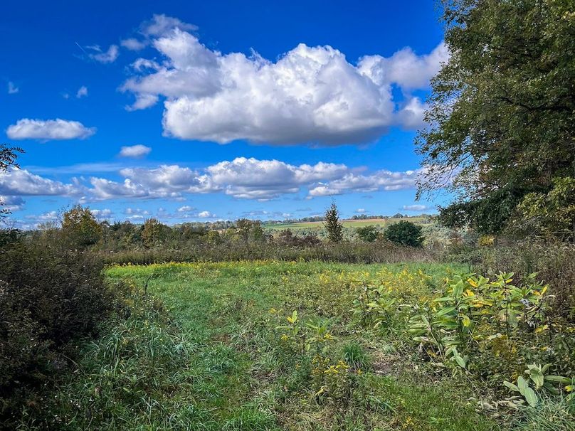 Tompkins_30.32_Hildreth_Estate_Phoros_26