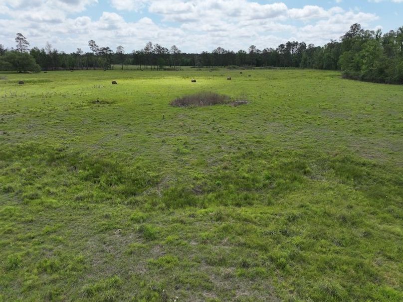 dji_fly_20260414_101612_0065_1776201098890_photo