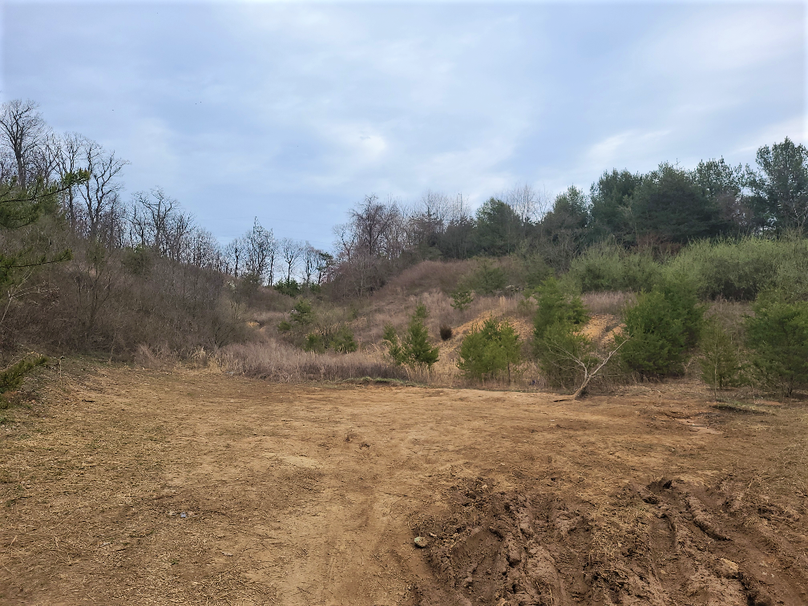 2.87ac_CokesburyRd_CECIL_PIC_002