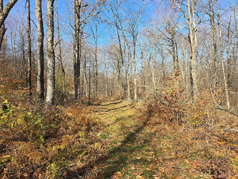 photo_5ec3a89a-007c-4aa1-b253-5589a4dec9ba