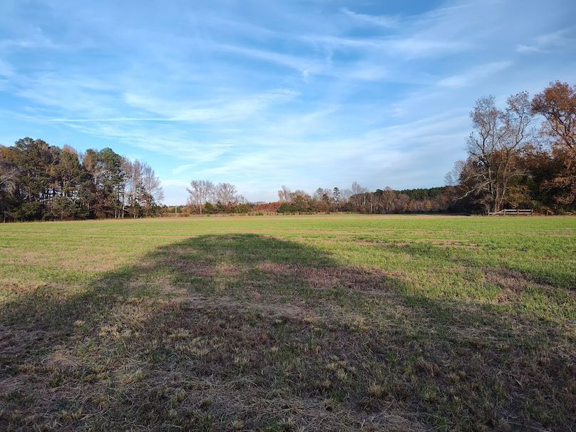 IMG_20251105_160634517