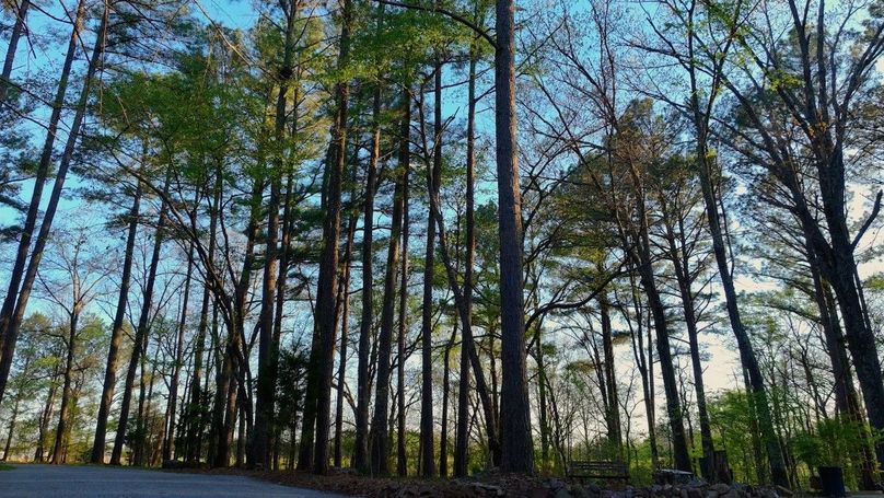 WILLIAMSON, IL 65.00_14_12_05.Still048