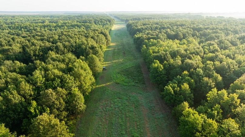 MadisonParLa1372-082