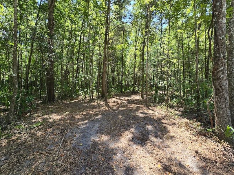 1.01ac, Citrus, Josiah Ronco06