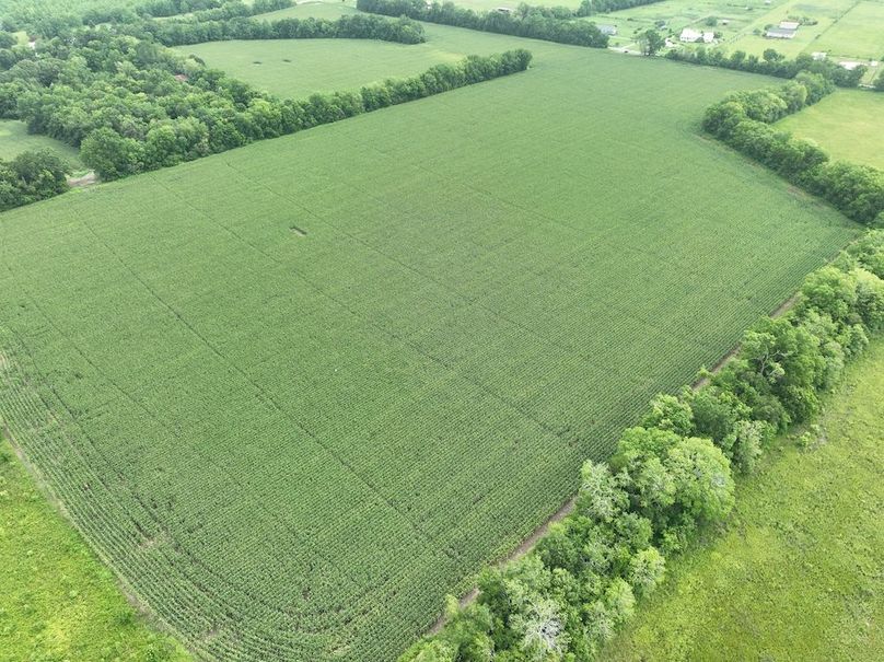 dji_fly_20240620_102702_564_1718898978998_photo