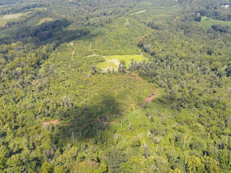 dji_fly_20250729_115610_731_1753804599949_photo