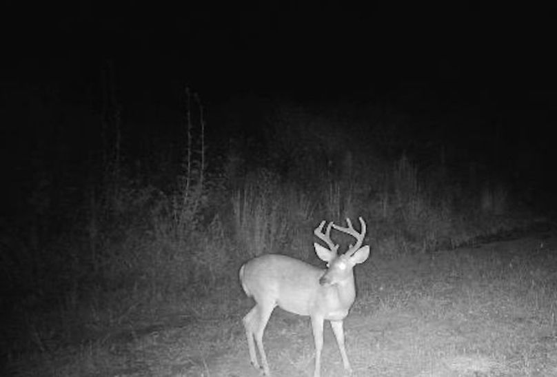 Copy of Prentiss County, MS 703-07