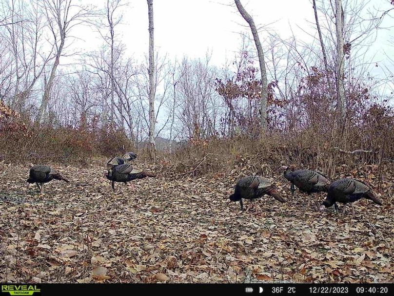 Carter Gordon 70 +_- 010