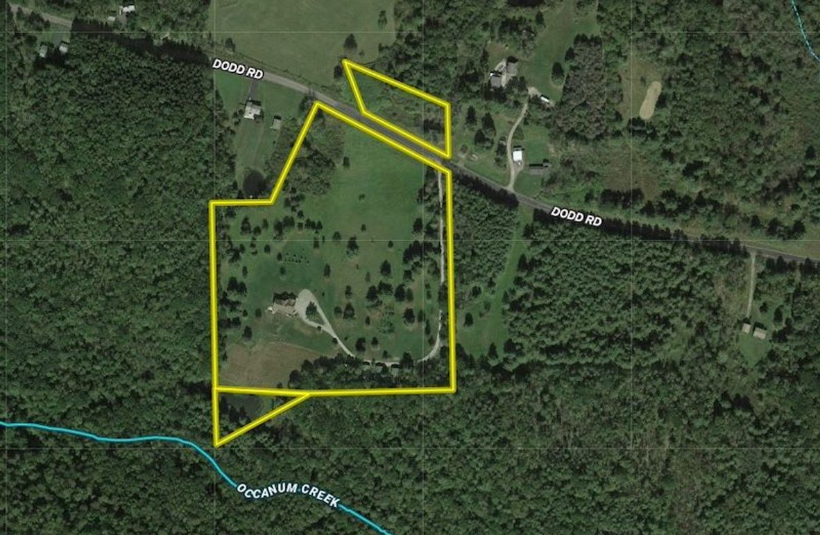 Broome 18.25 Scherer Google